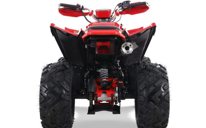 2025 Denago Powersports Daytona 250 FI