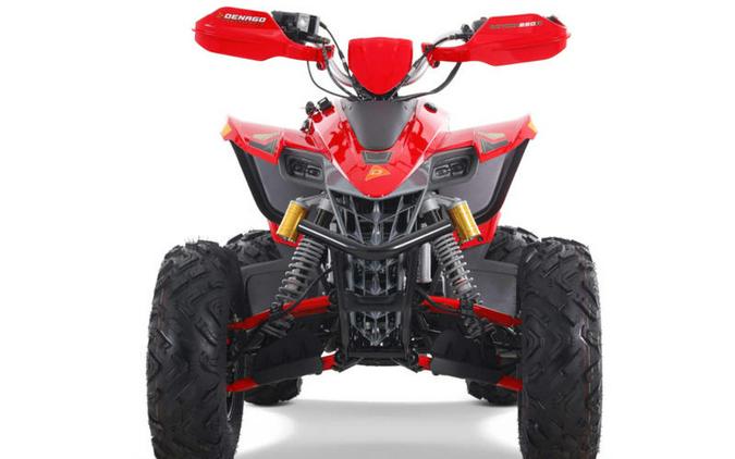 2025 Denago Powersports Daytona 250 FI