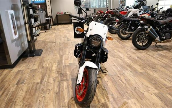 2023 Indian Motorcycle® FTR Sport White Lightning/Indy Red