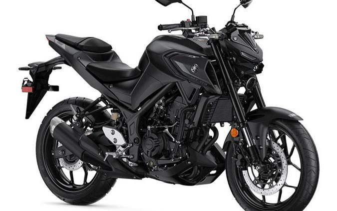 2024 Yamaha MT 03