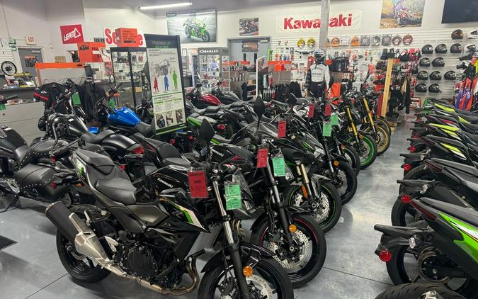 2025 Kawasaki Eliminator®