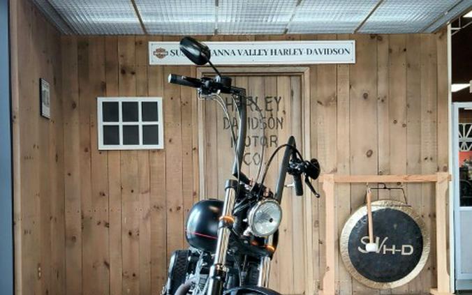 2013 Harley-Davidson Softail® Blackline®