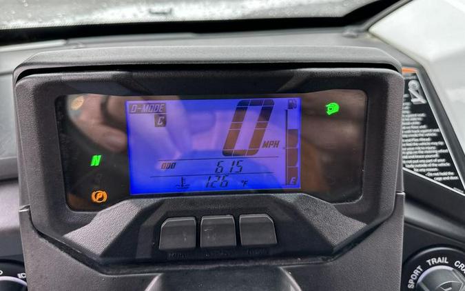 2022 Yamaha Wolverine RMAX2 1000 Limited Edition