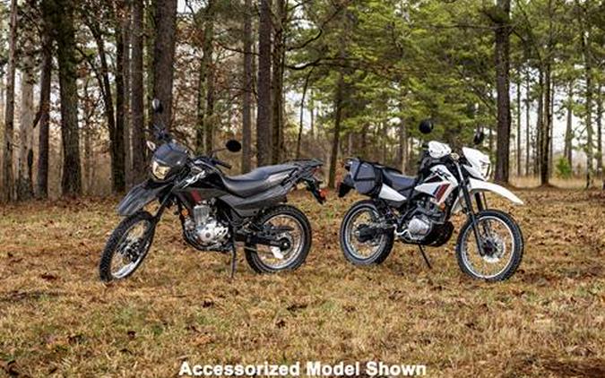 2025 Honda XR150L