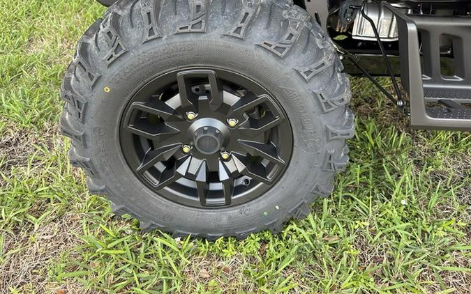 2025 Honda Pioneer 1000-6 Deluxe Crew