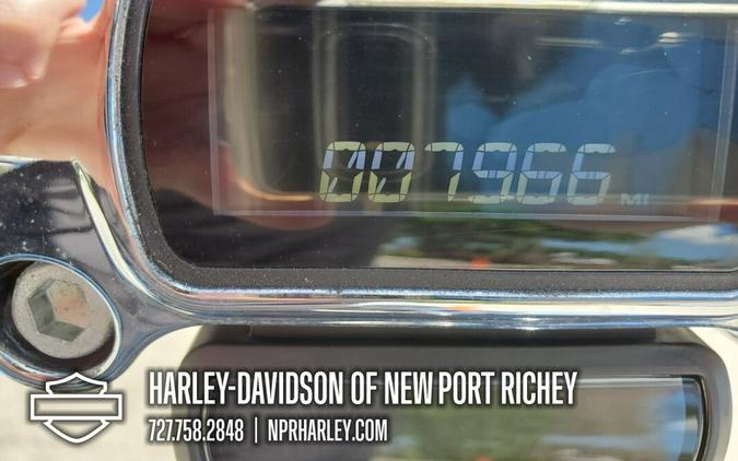 2023 Harley-Davidson® Softail® Standard