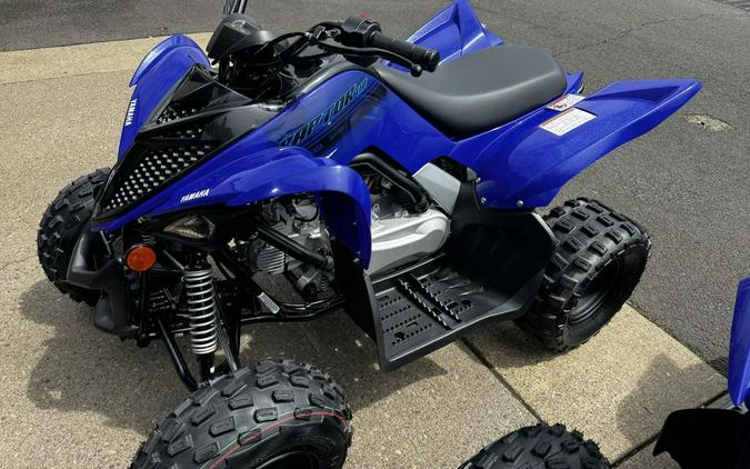 2024 Yamaha Raptor 110