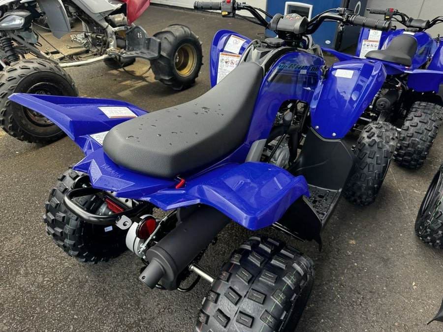 2024 Yamaha Raptor 110