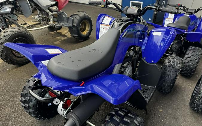 2024 Yamaha Raptor 110