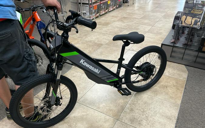 2025 Kawasaki Elektrode® 20
