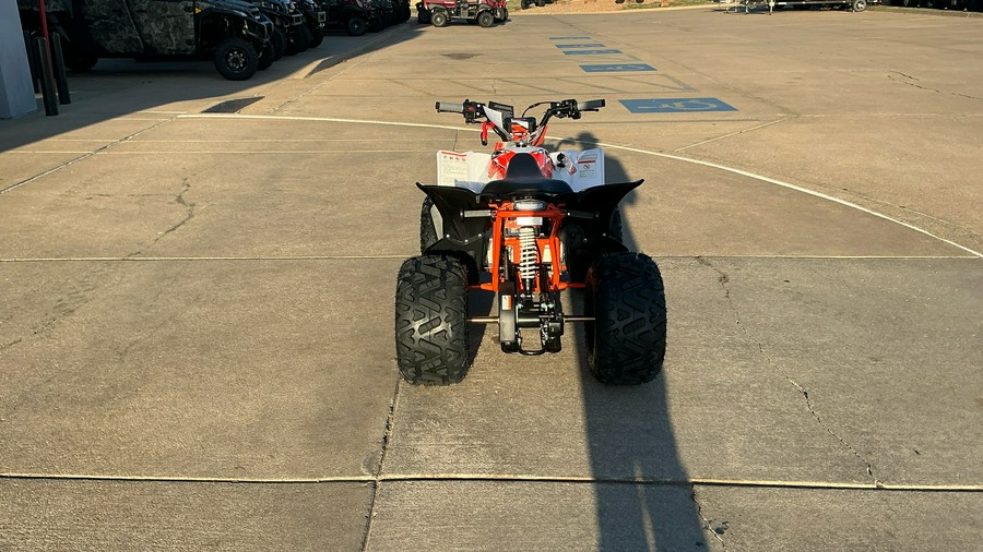 2026 Kayo Predator 110
