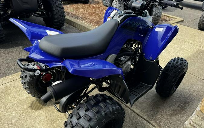 2024 Yamaha Raptor 110