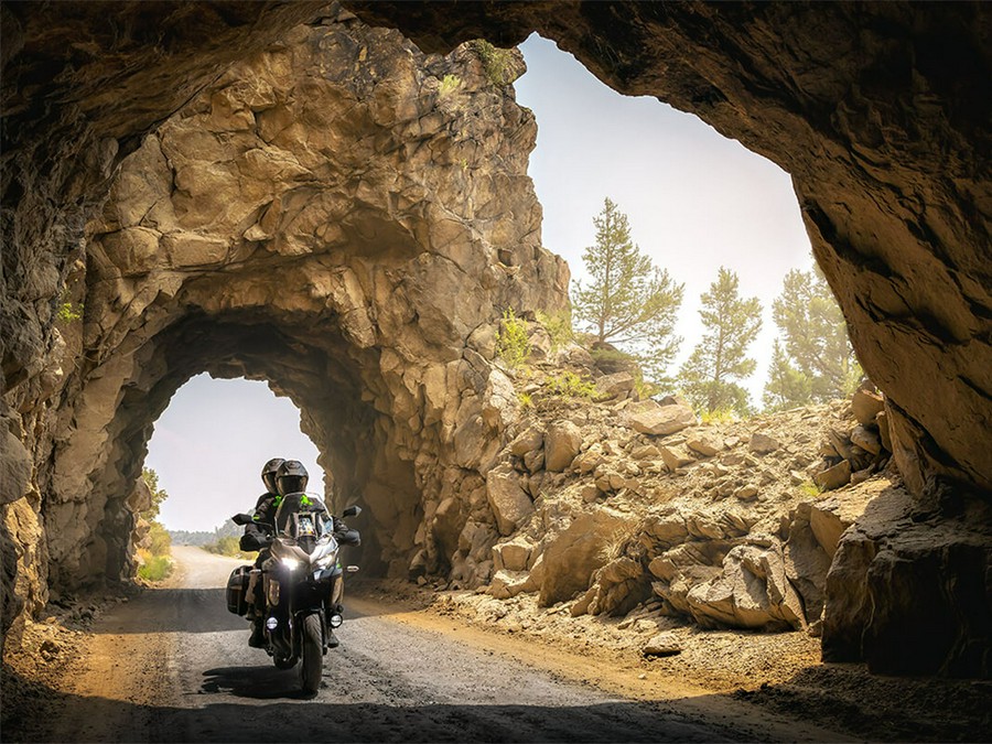 2025 Kawasaki Versys 1100 SE LT ABS