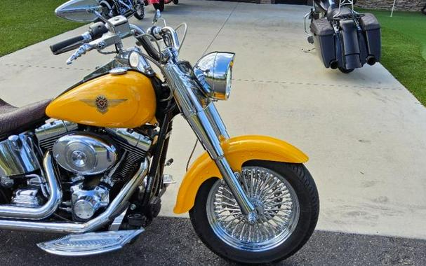 2001 Harley-Davidson® FLSTF - Fat Boy®