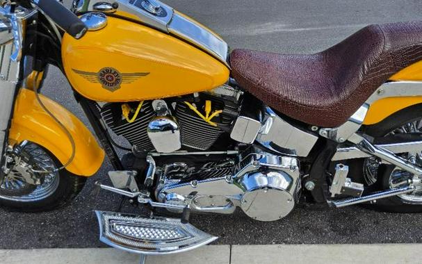 2001 Harley-Davidson® FLSTF - Fat Boy®