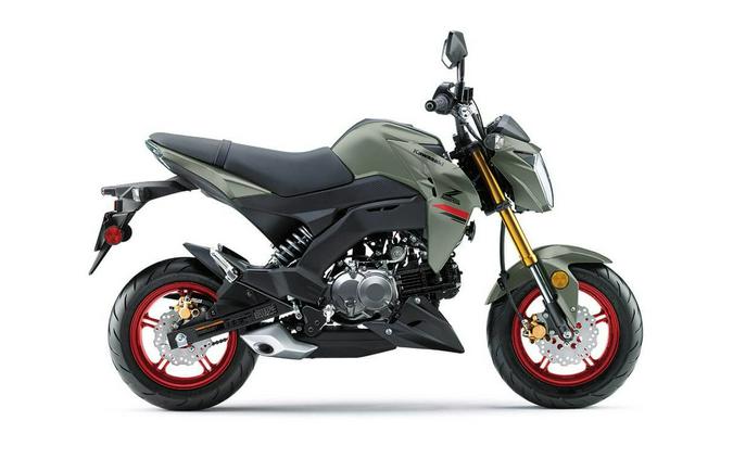 2023 Kawasaki Z125