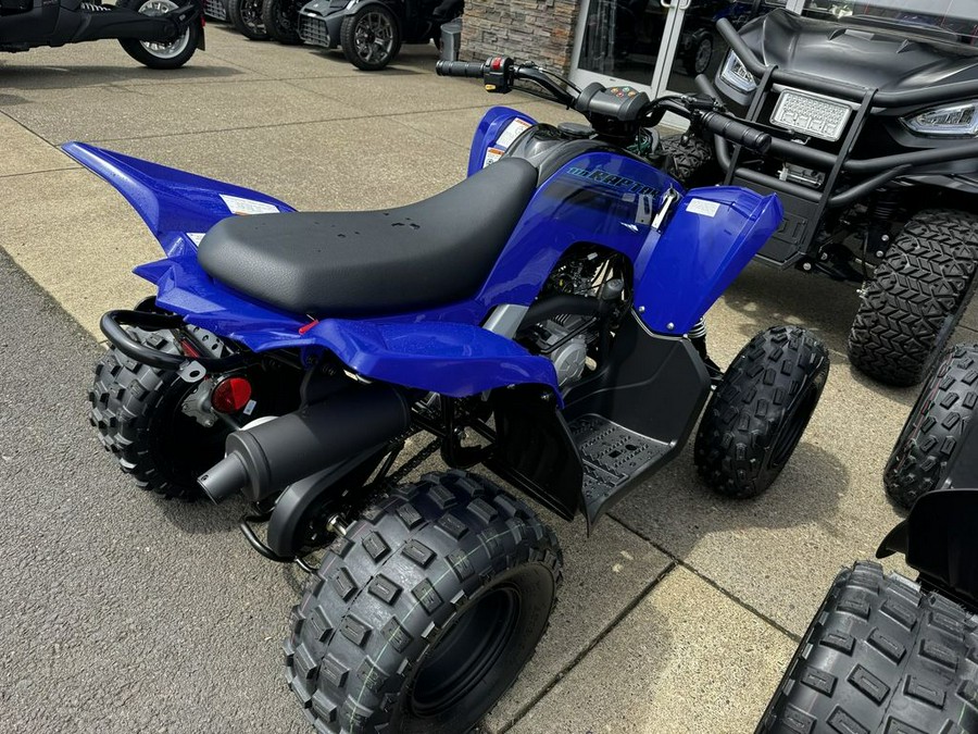 2024 Yamaha Raptor 110