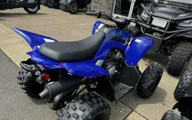 2024 Yamaha Raptor 110