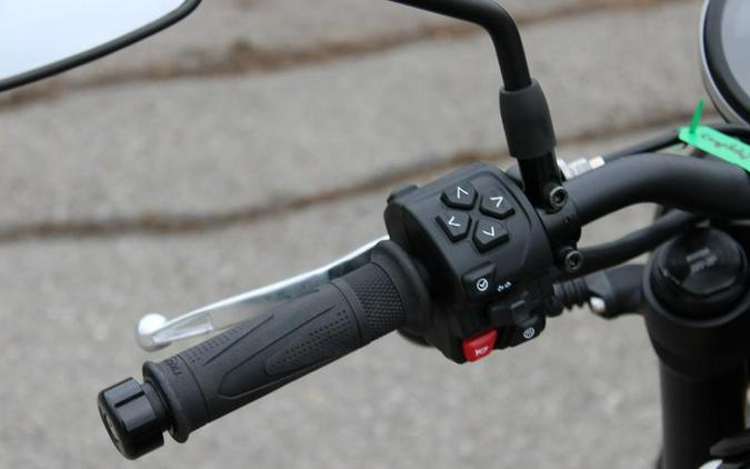 2025 Triumph Trident 660 Cosmic Yellow/Sapphire Black