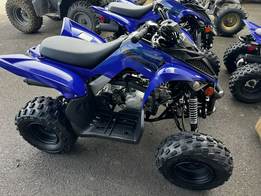 2024 Yamaha Raptor 110