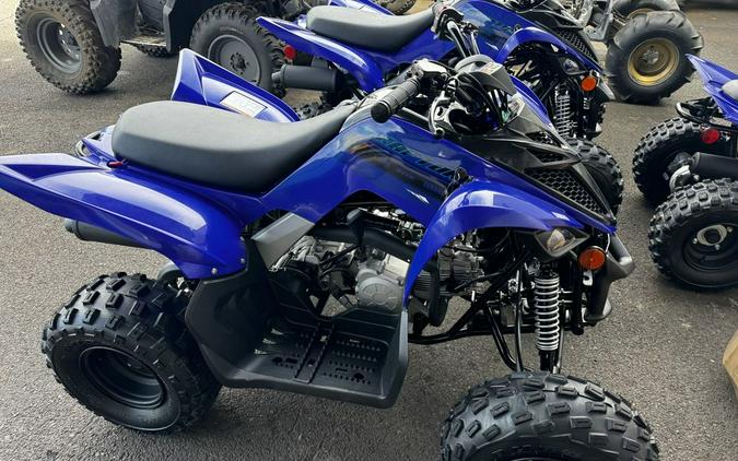 2024 Yamaha Raptor 110