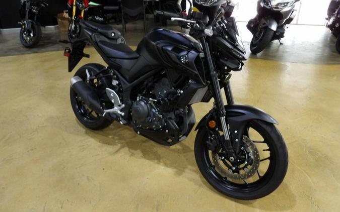 2025 Yamaha MT 03