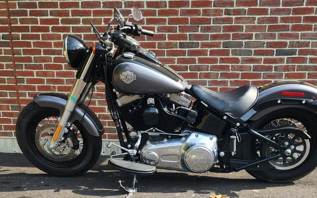 2016 Harley-Davidson® FLS - Softail Slim®