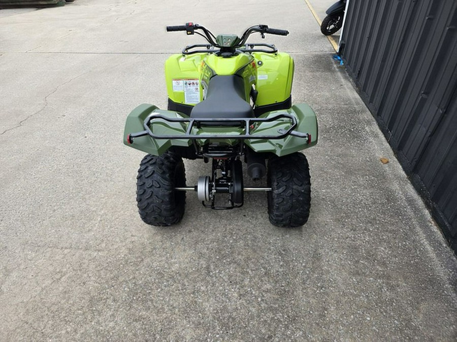 2026 Yamaha Grizzly 110