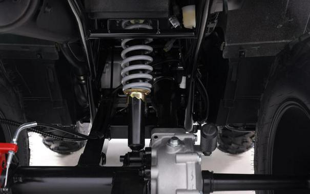 2026 Denago Powersports Freelander 300 FI Trami Camouflage
