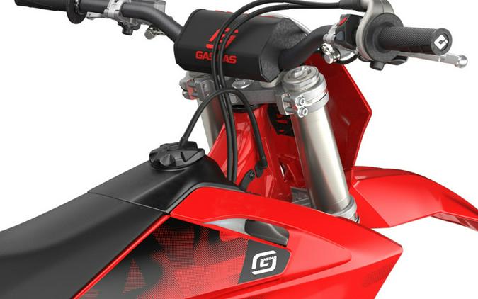 2026 GAS GAS EX 300 Red - G324071