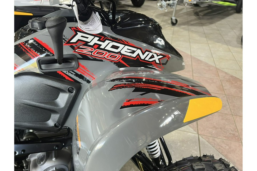 2024 Polaris Industries Phoenix™ 200 - Avalanche Gray (youth) (DEMO)