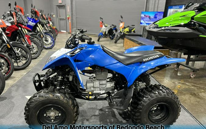 2020 Honda TRX250X