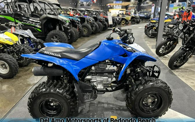 2020 Honda TRX250X