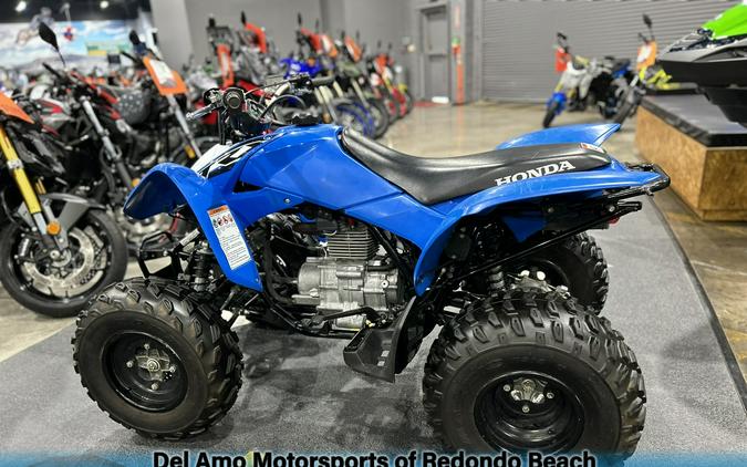 2020 Honda TRX250X