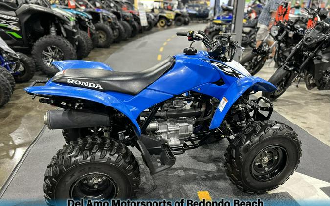 2020 Honda TRX250X