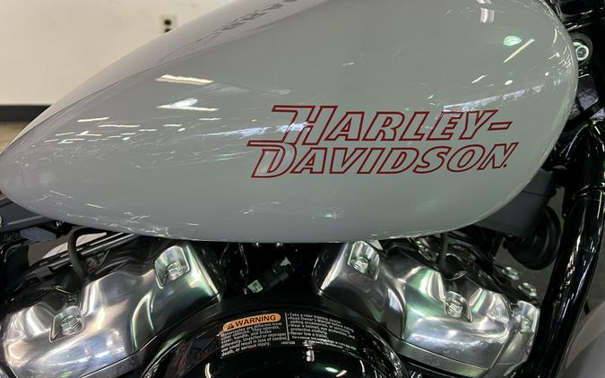 2024 Harley-Davidson Softail Standard Billiard Gray FXST