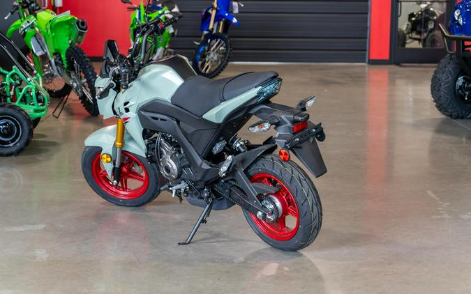 2023 Kawasaki Z125 PRO