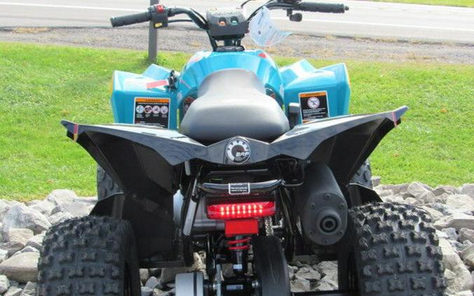 2024 Can-Am® Renegade 70 EFI