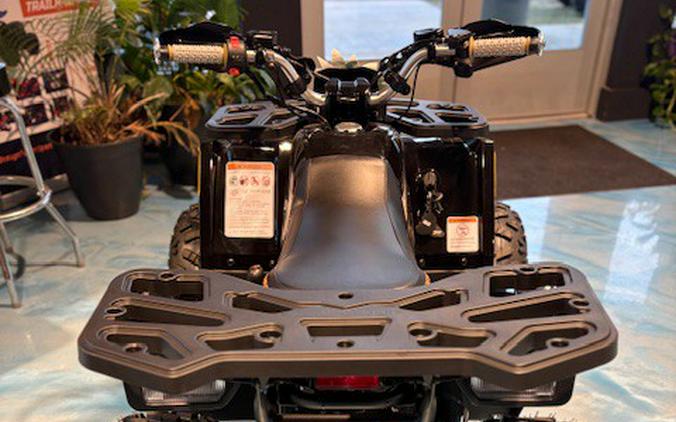 2026 Mudhawk 10FI - Denago Powersports
