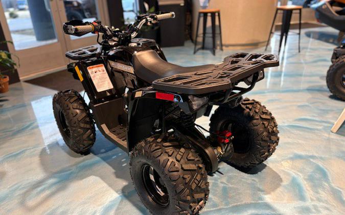 2026 Mudhawk 10FI - Denago Powersports