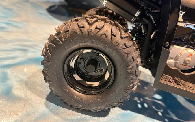 2026 Mudhawk 10FI - Denago Powersports