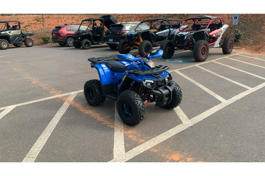 2026 Mudhawk 10FI - Denago Powersports