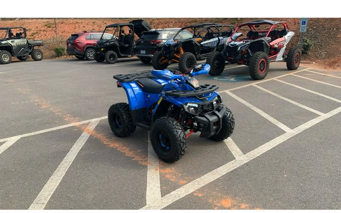 2026 Mudhawk 10FI - Denago Powersports