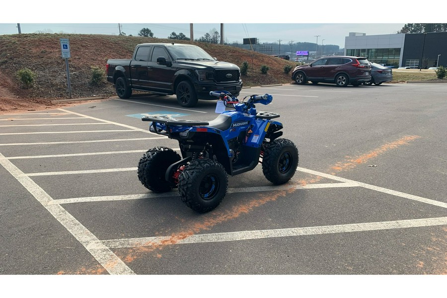 2026 Mudhawk 10FI - Denago Powersports