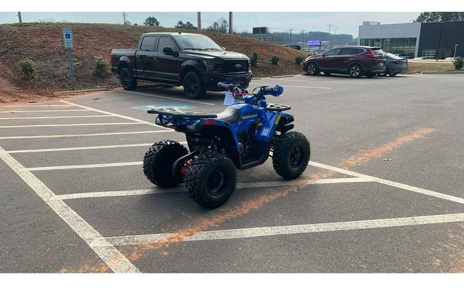2026 Mudhawk 10FI - Denago Powersports