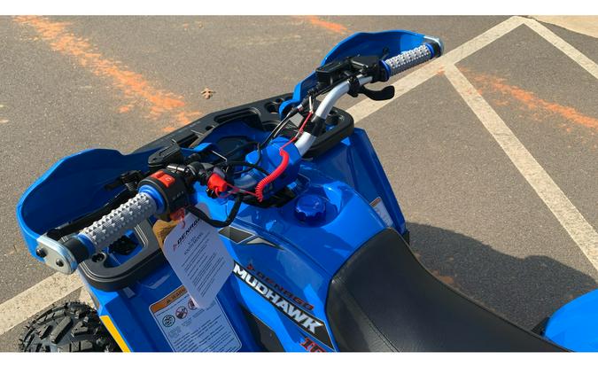 2026 Mudhawk 10FI - Denago Powersports