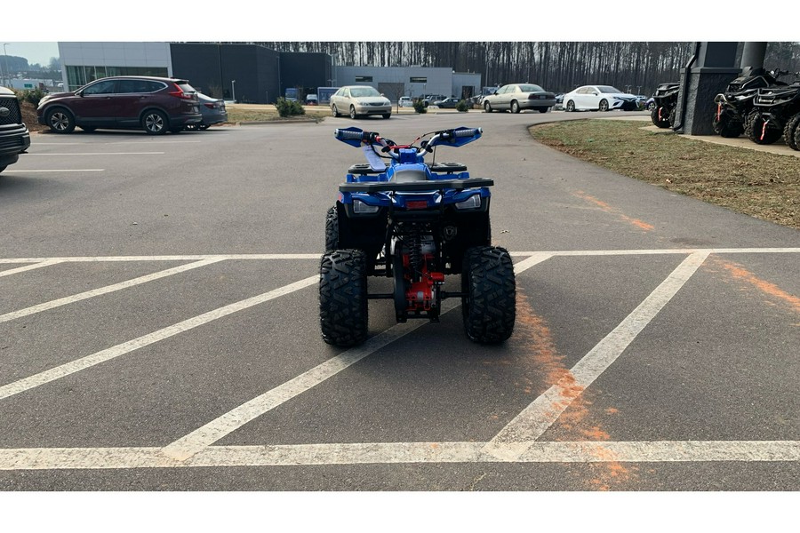 2026 Mudhawk 10FI - Denago Powersports