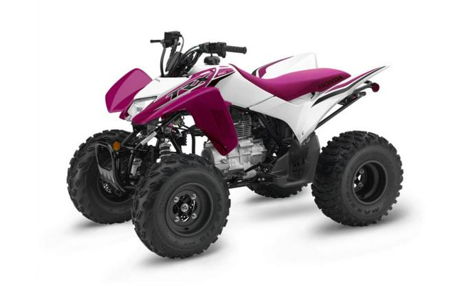 2023 Honda TRX 250X