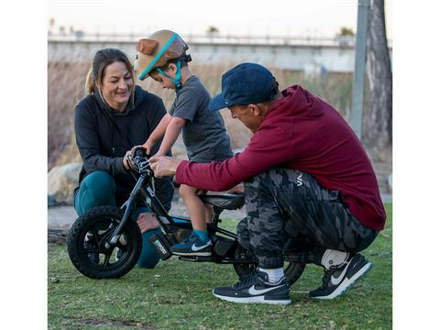 2025 Stacyc 12eDRIVE