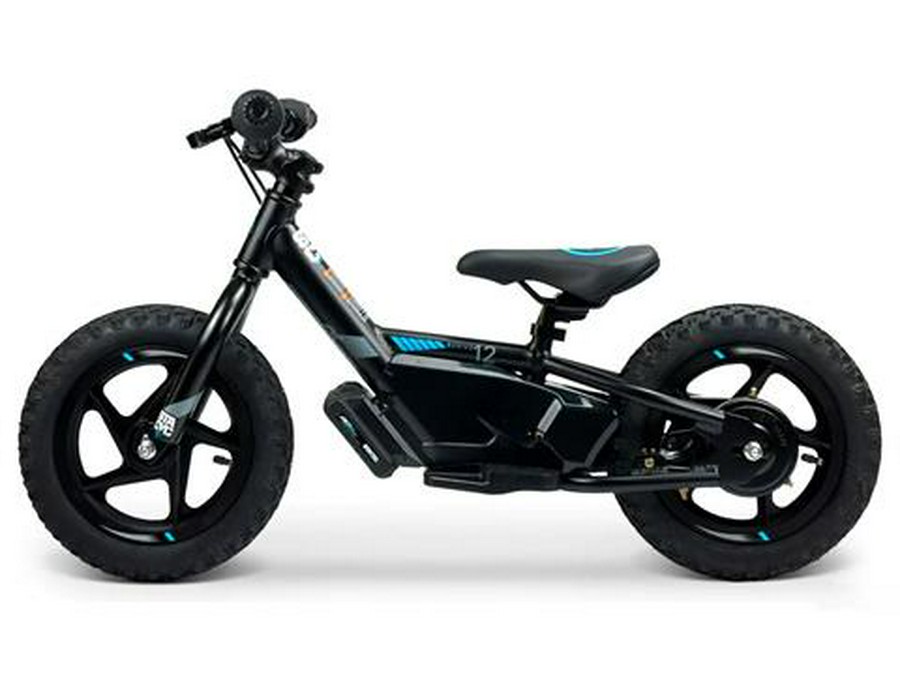 2025 Stacyc 12eDRIVE